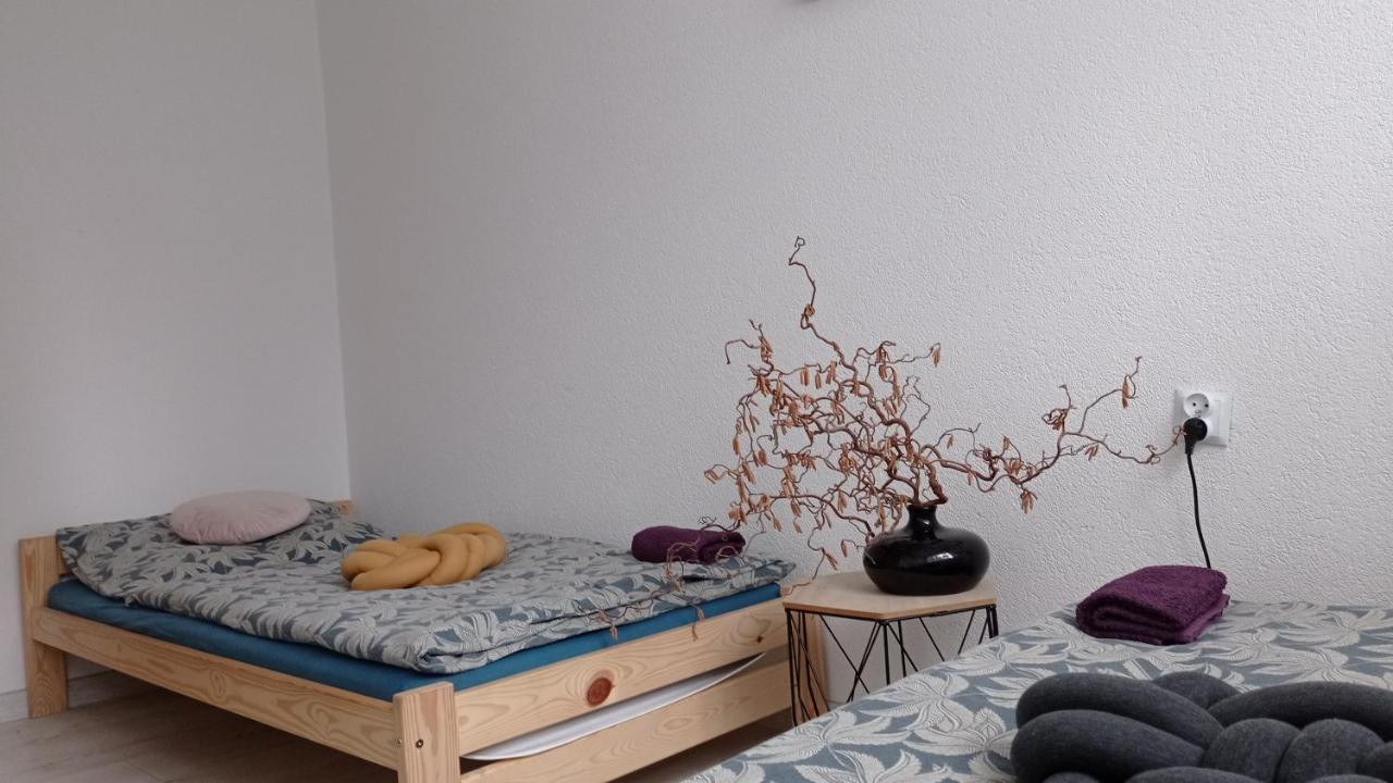 MirskBabcares Apa Gory Izerskieアパートメント エクステリア 写真